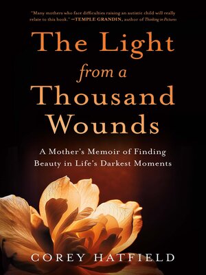 cover image of The Light from a Thousand Wounds